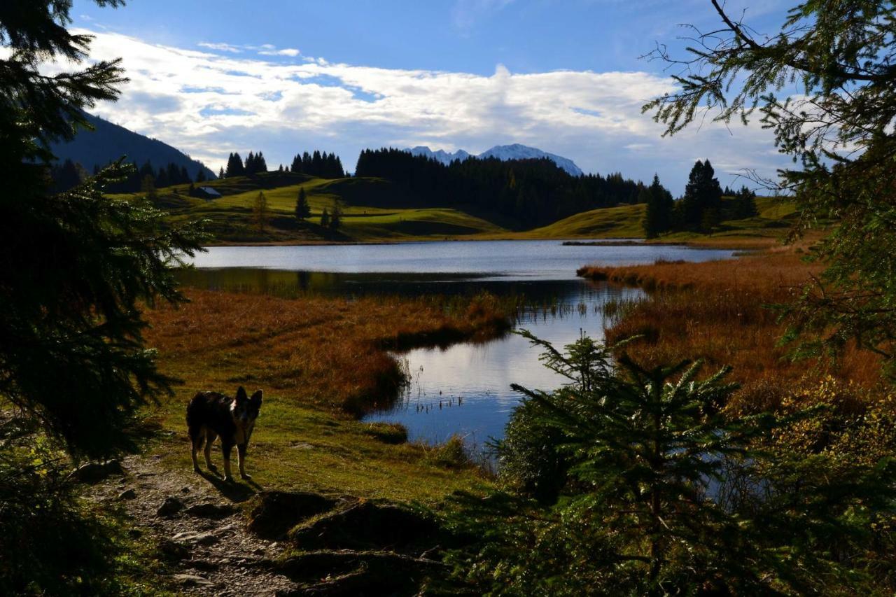Pension Edelweiss Top21 Gosau Exteriör bild