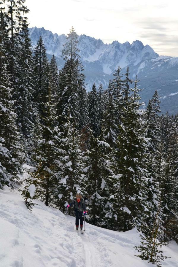 Pension Edelweiss Top21 Gosau Exteriör bild