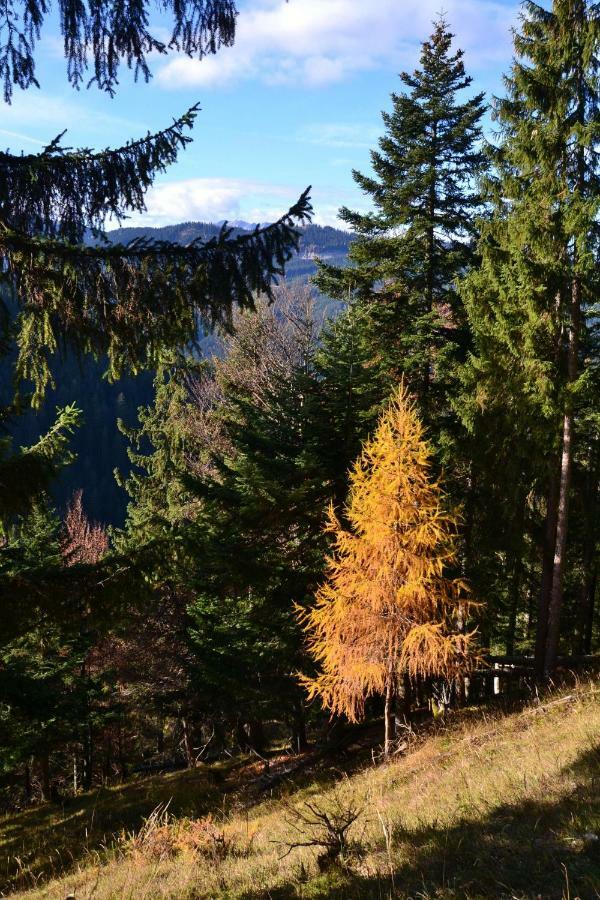 Pension Edelweiss Top21 Gosau Exteriör bild