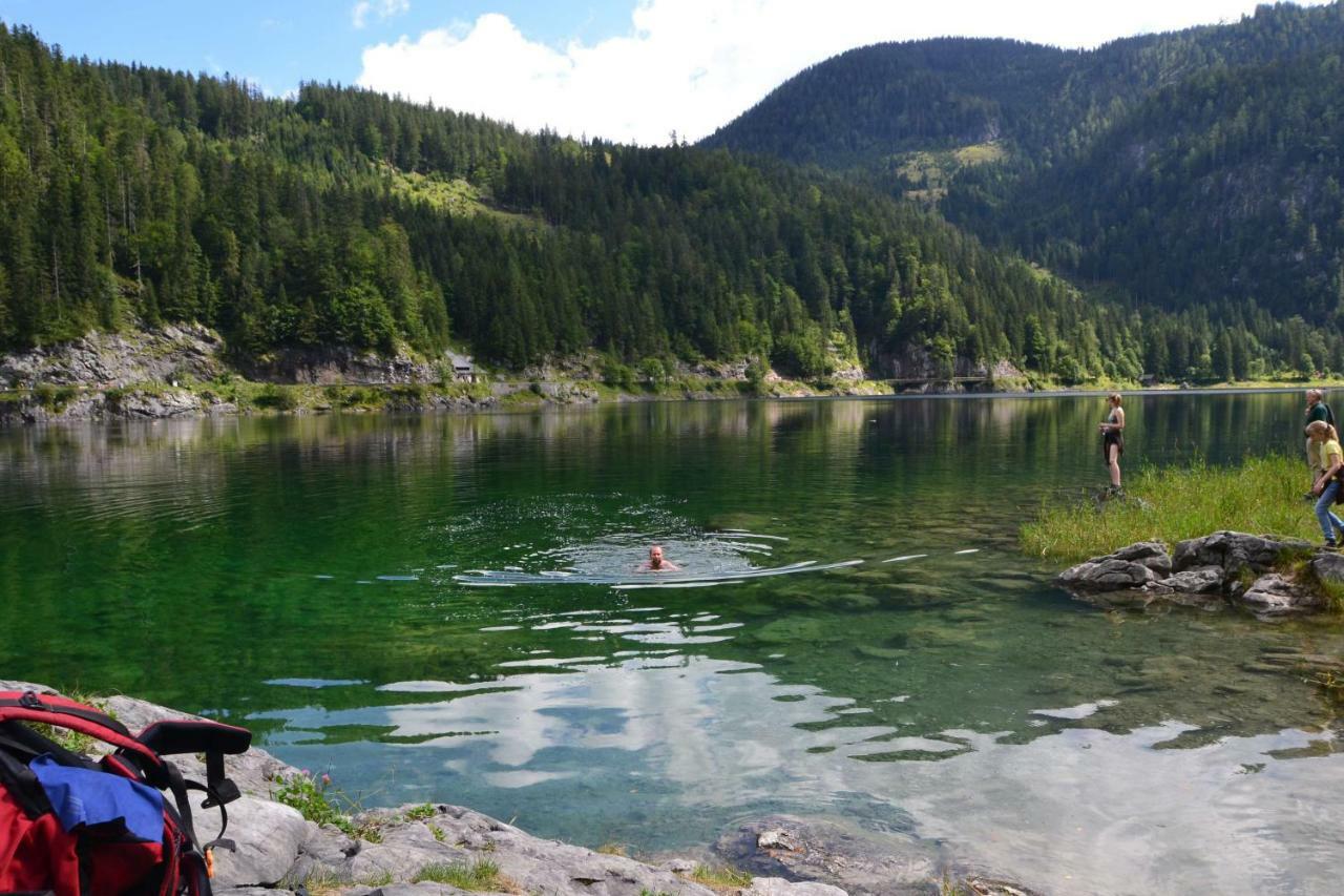 Pension Edelweiss Top21 Gosau Exteriör bild