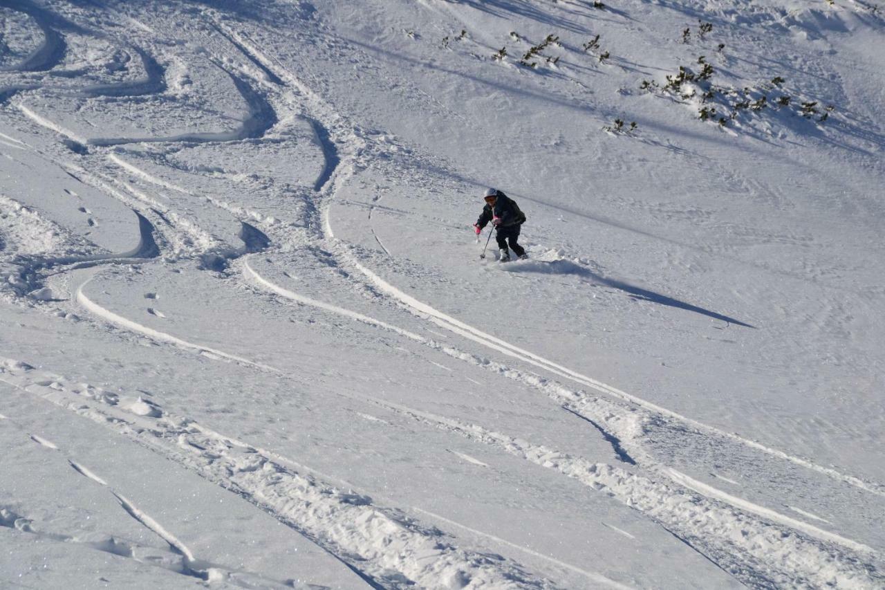 Pension Edelweiss Top21 Gosau Exteriör bild
