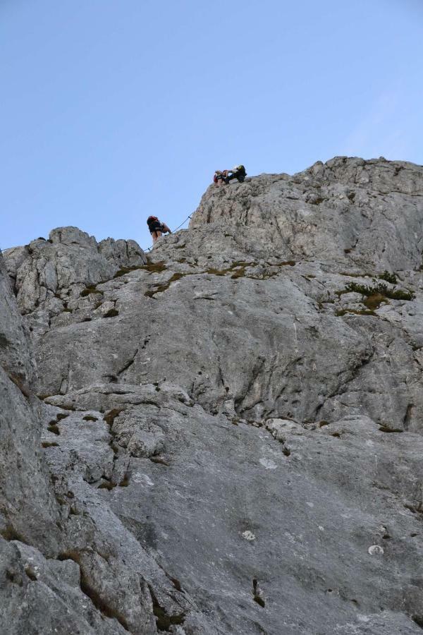 Pension Edelweiss Top21 Gosau Exteriör bild